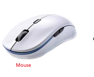 Mouse